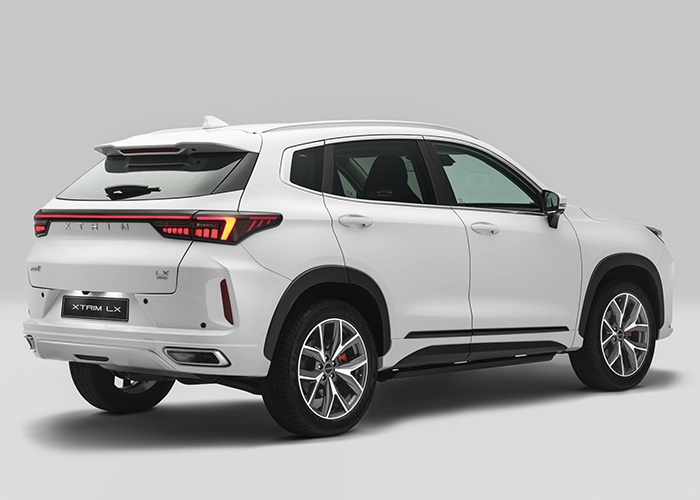 LX-new-4 (1)